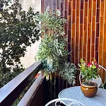 Green Oasis In The Center Of Milan