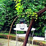 Appartamento Con Giardino