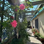 Terrazza Con Vista