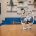 Green Haven - Milan Apartment Free Parking