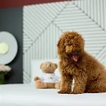 Quark Hotel Milano