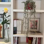 Flavia Flexyrent Apartment Ac