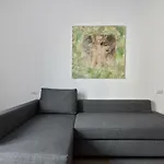 Insubria Apartment