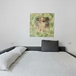 Insubria Apartment