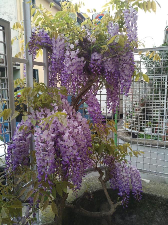 Appartamento Amami