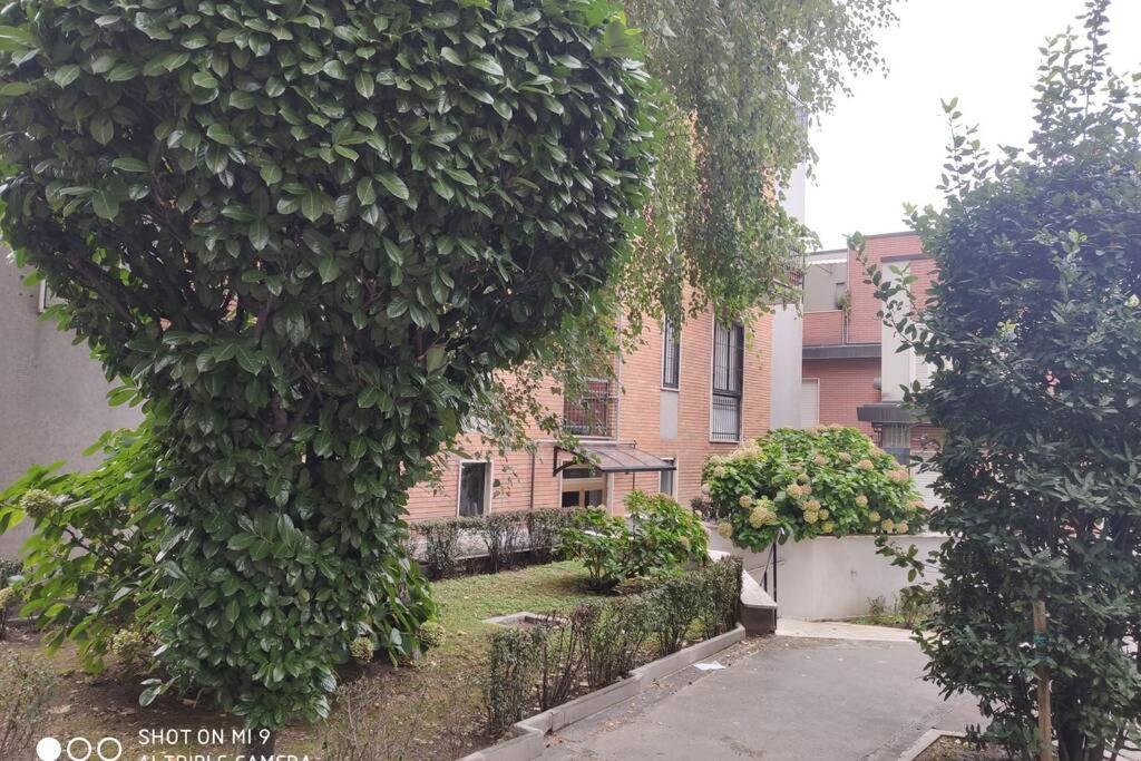 Luxury House Appartamento *