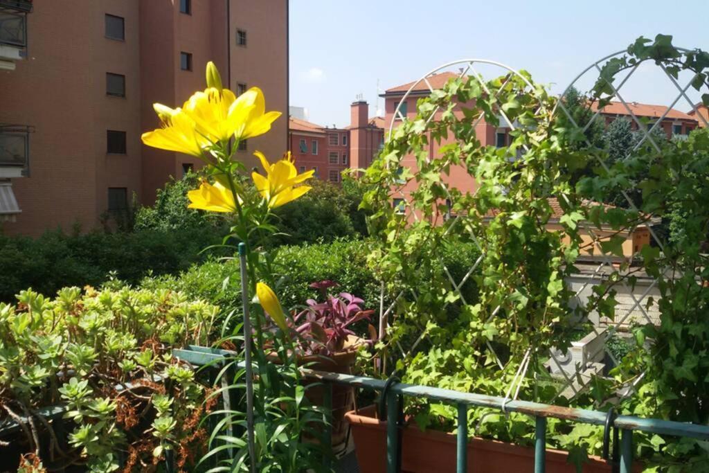 Bright & Cozy With Balcony Gasthuis *