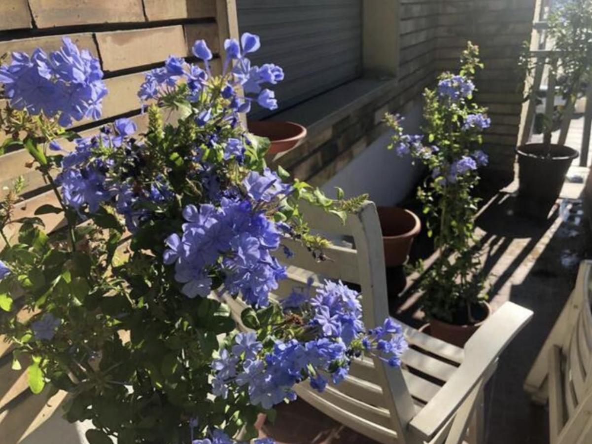 Gjestgiverier In Via Tolstoi