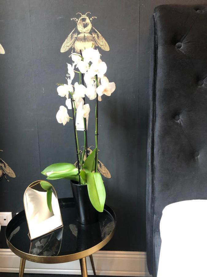 Lippi 42 With Private Garden Bed & Breakfast Milan