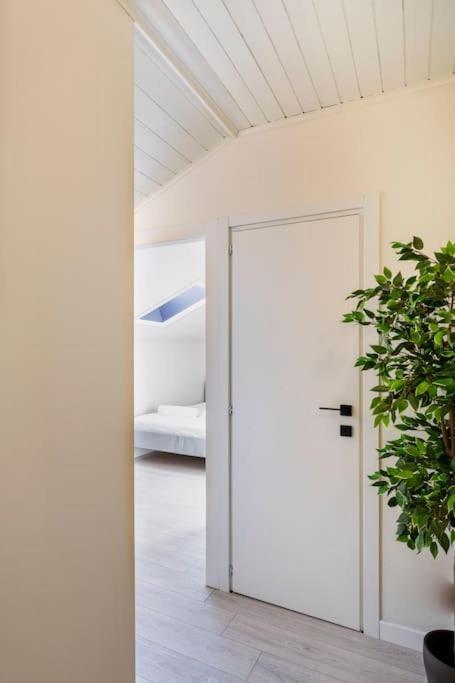 Stupendo Duplex In Centro A Lejlighed *