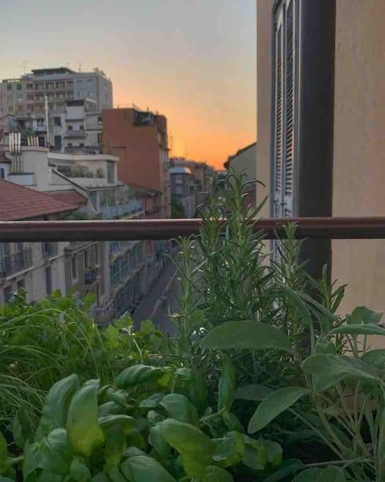 Chic Design Flat In Piero Della Francesca Appartamento