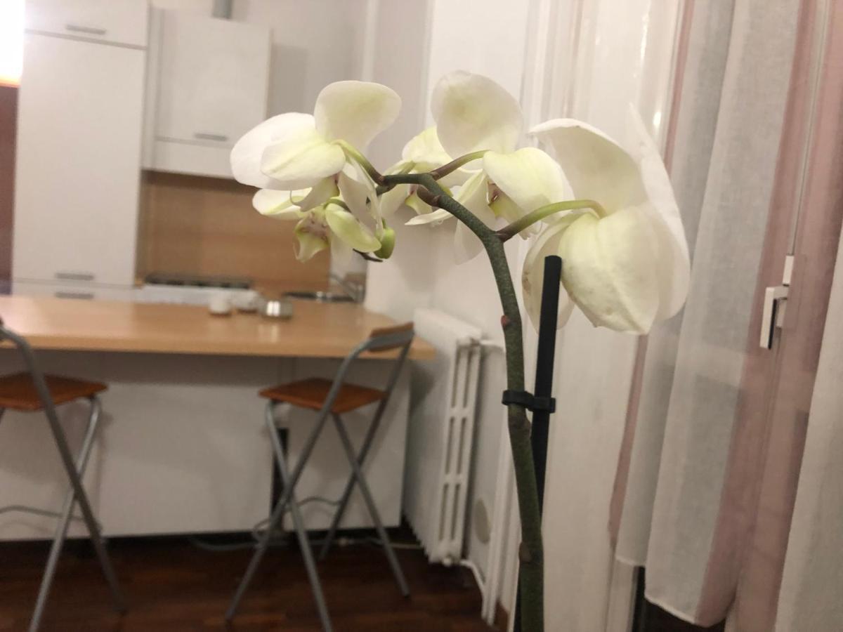 Romantica Darsena Apartment Mailand