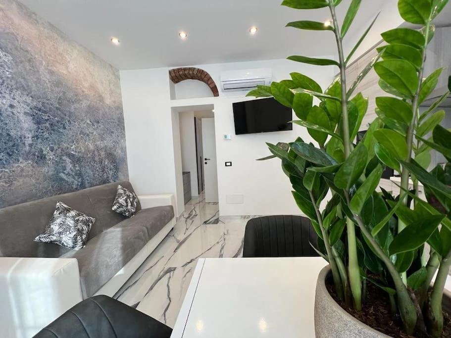 Apartment Luxury Carrara