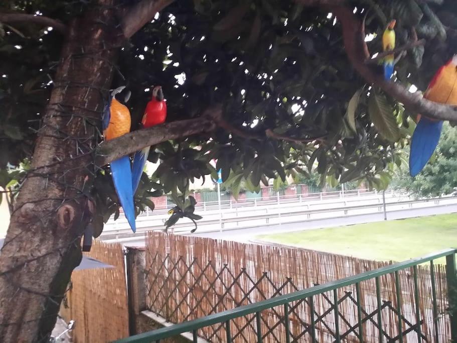 Vicino Allo Stadio Di San Siro E Alla Fiera Leilighet *