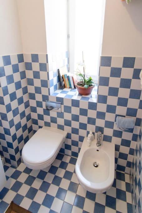 Quiet & Bright In A Sparkly District! Apartment