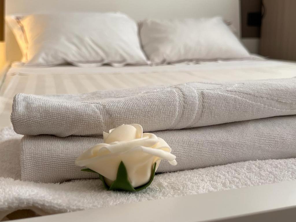 Appartement Loft Bocconi Milaan