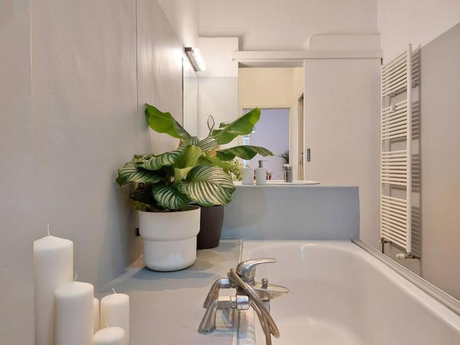 Bnbutler - Guercino, 8 - Renovated Design Appartement *