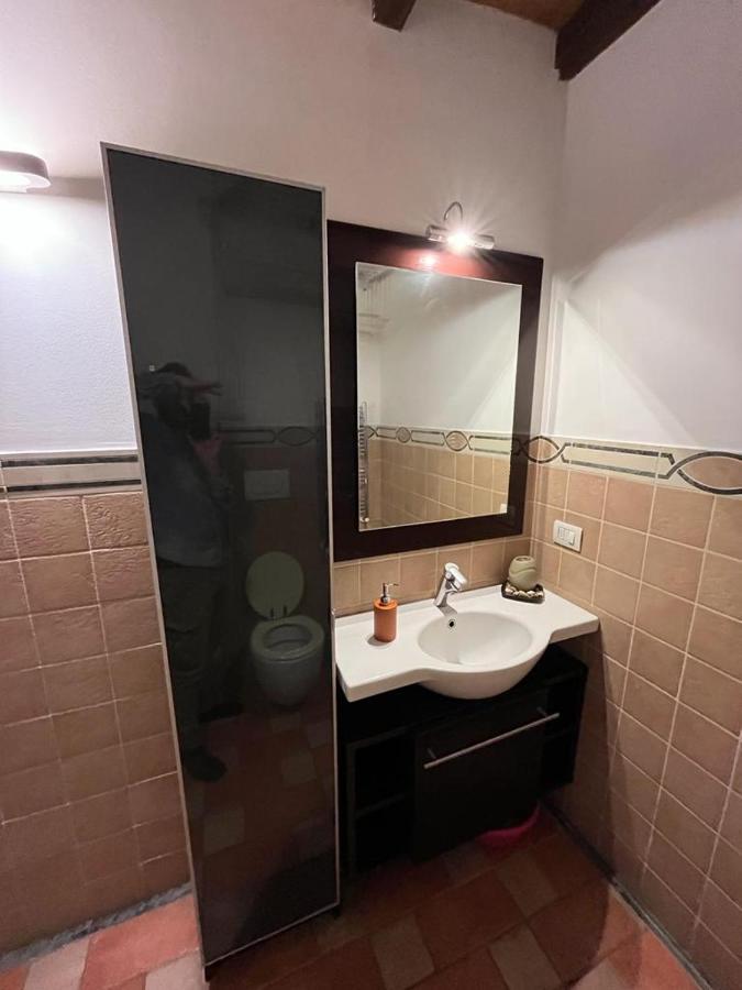 Flamingo Lodi Apartment