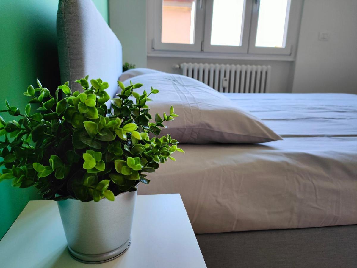 Apartment Your New Near Campus Bocconi And Romolo
