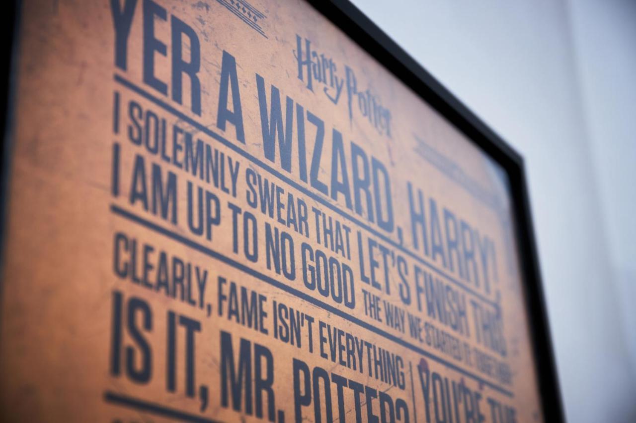 Harry Potter's Magic House - Metro M4 - Linate - Citta Studi Appartement *