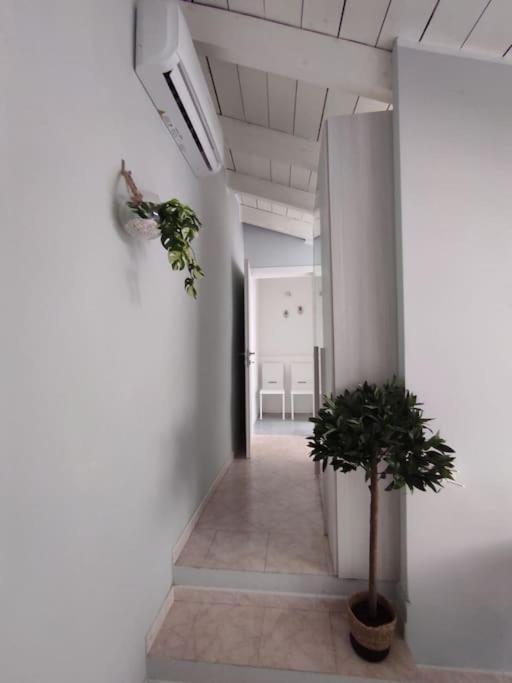 Apartment Free Parking Tiny House Wifi Netflix 15 Minuti Dal Duomo