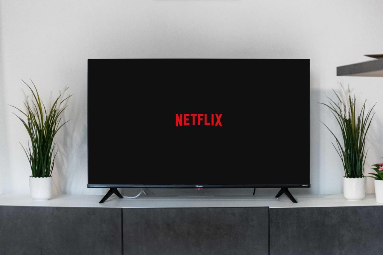 Junior With Netflix And Wifi