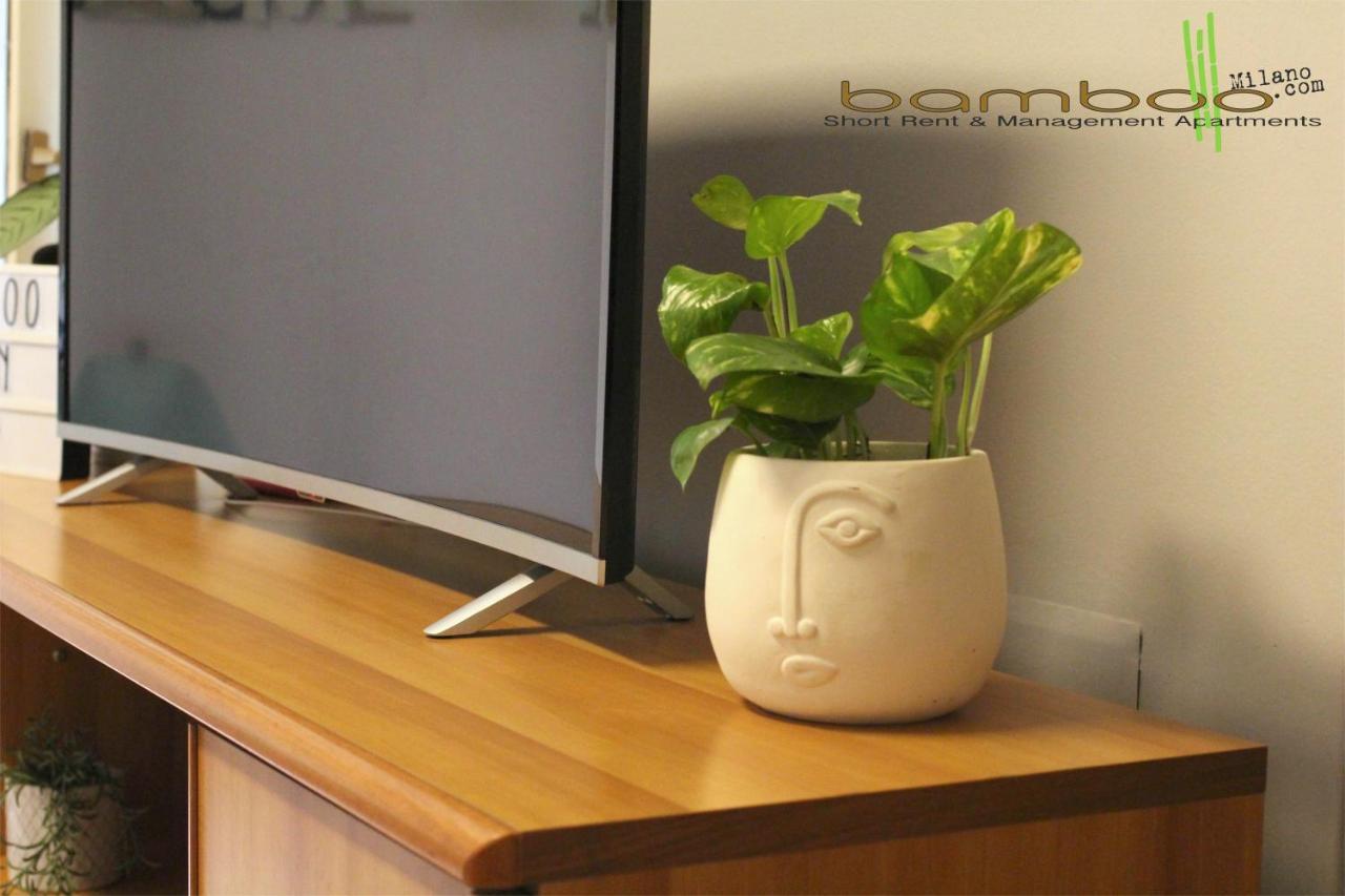 Bamboo Copernico