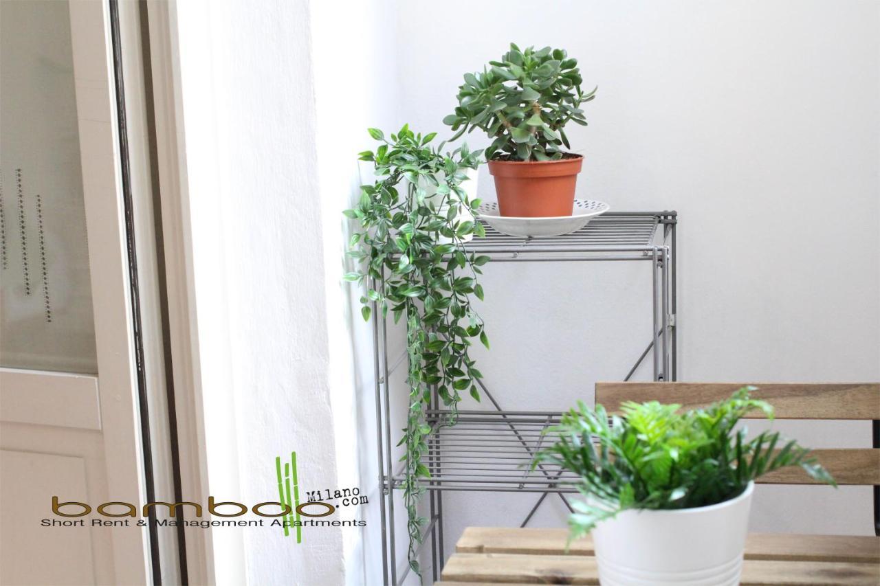 Bamboo Copernico