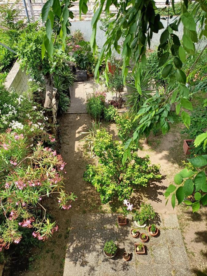 With A Garden *