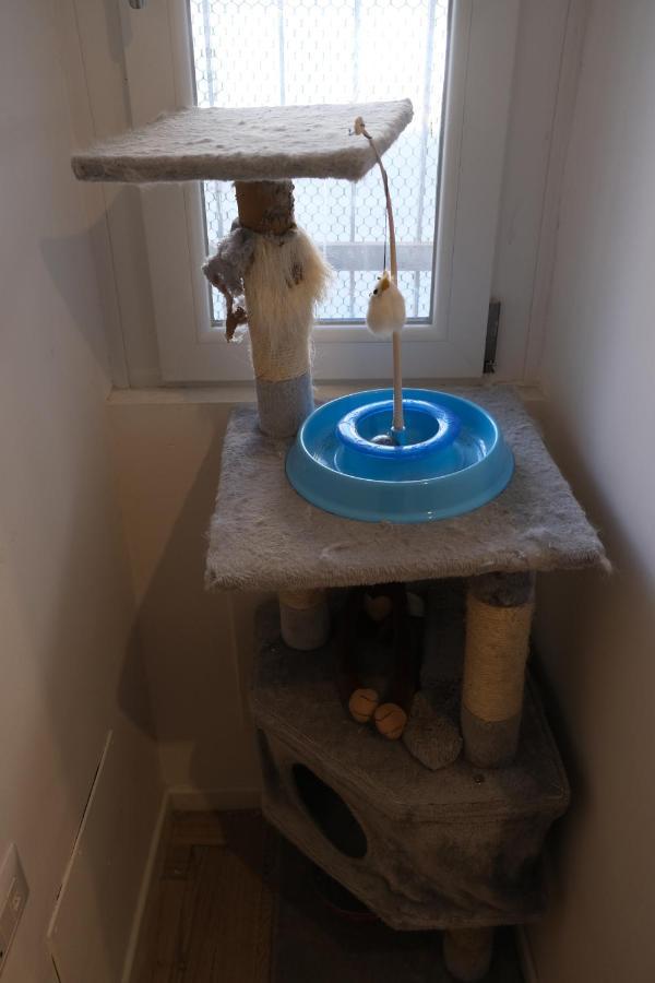 Apartment I Host - Val Strona 3