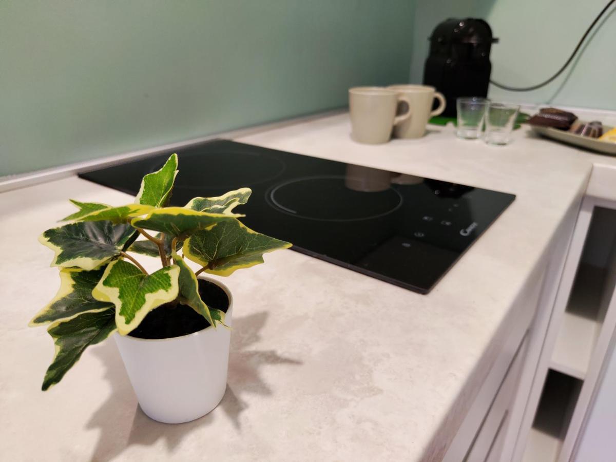 The Green Apt - Stylish And Confortable Large Studio Close To Metro * Milan