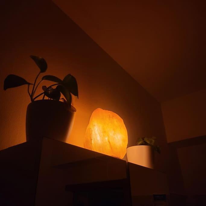 House Appartement