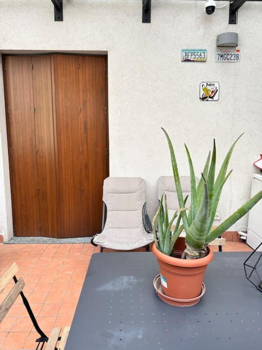 Appartamento Loft Moderno Con Terrazzo *