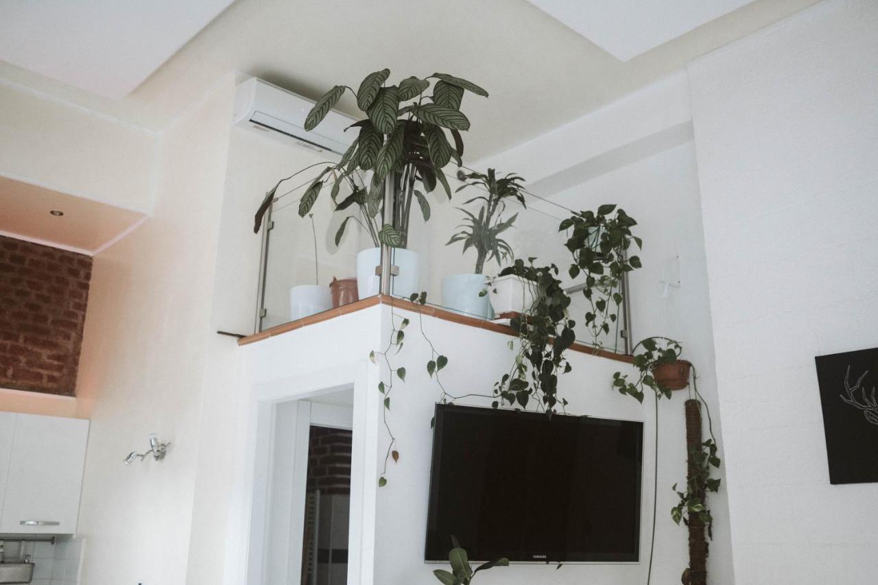 Luxury Loft - *