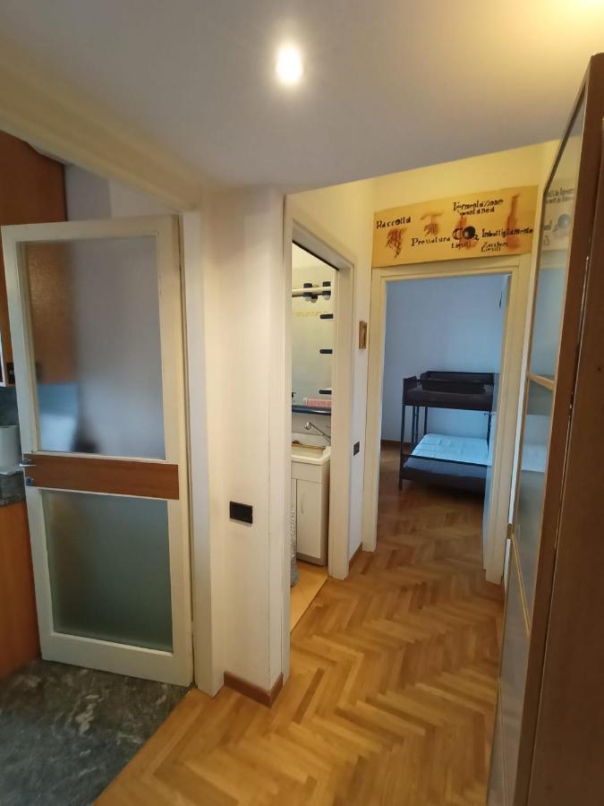Red Wine Apartment