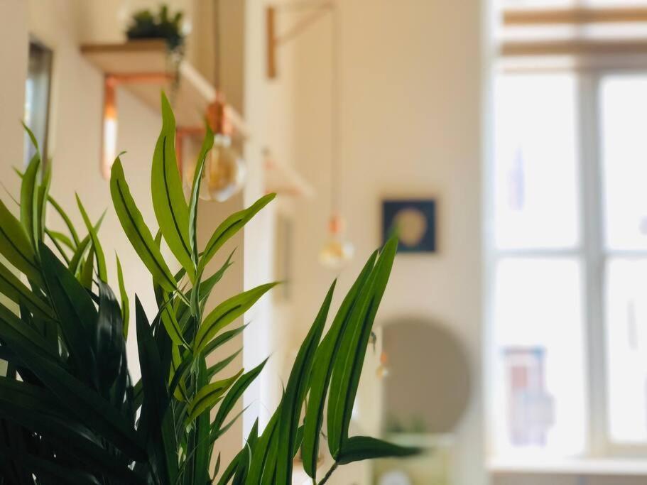 Casa Morgagni * Milano
