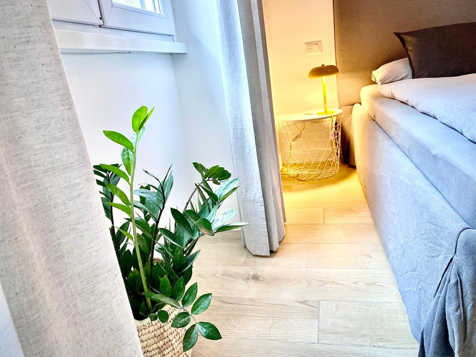 Modern Apartment
