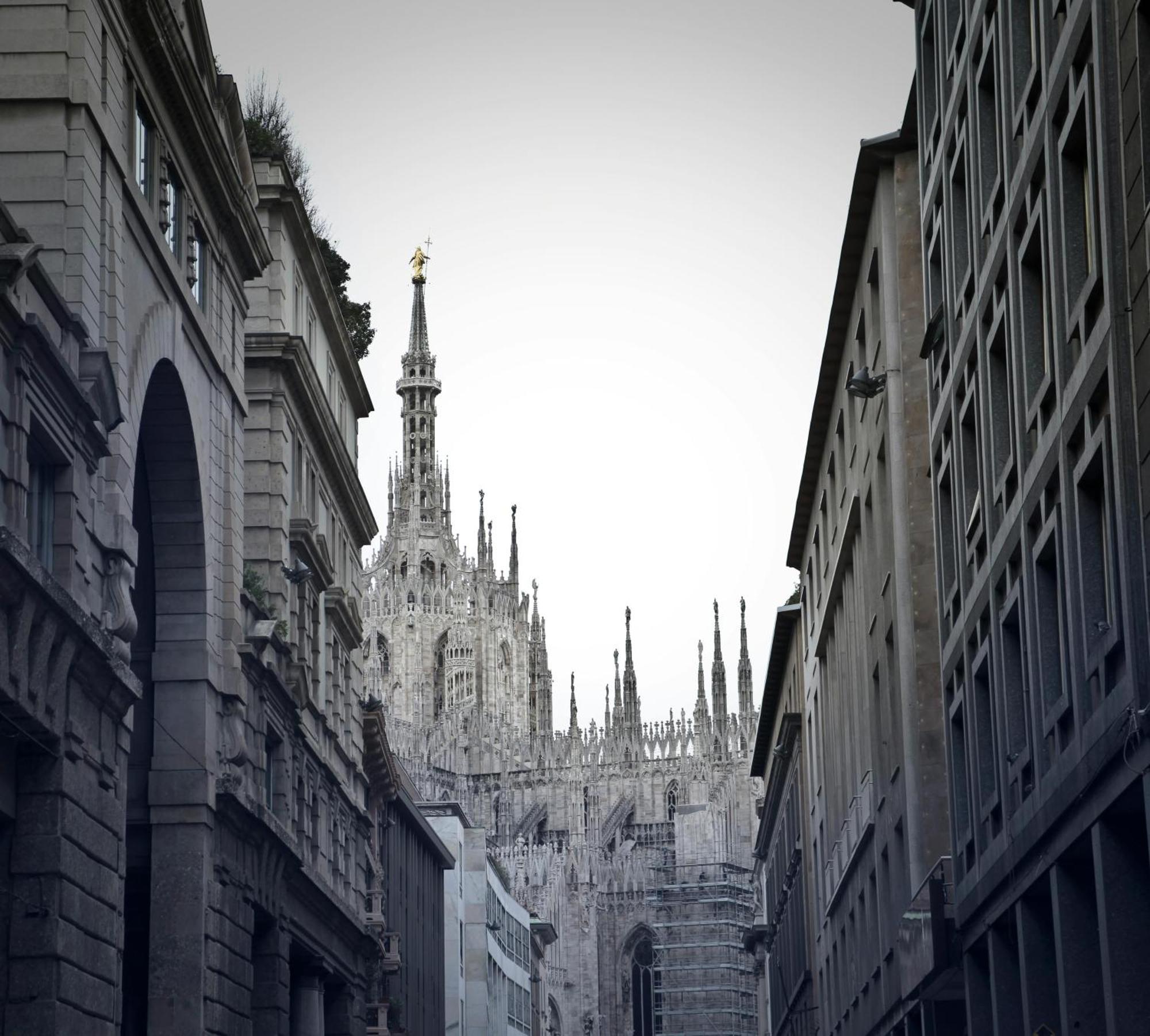 The White Jungle - San Babila Attic Milano