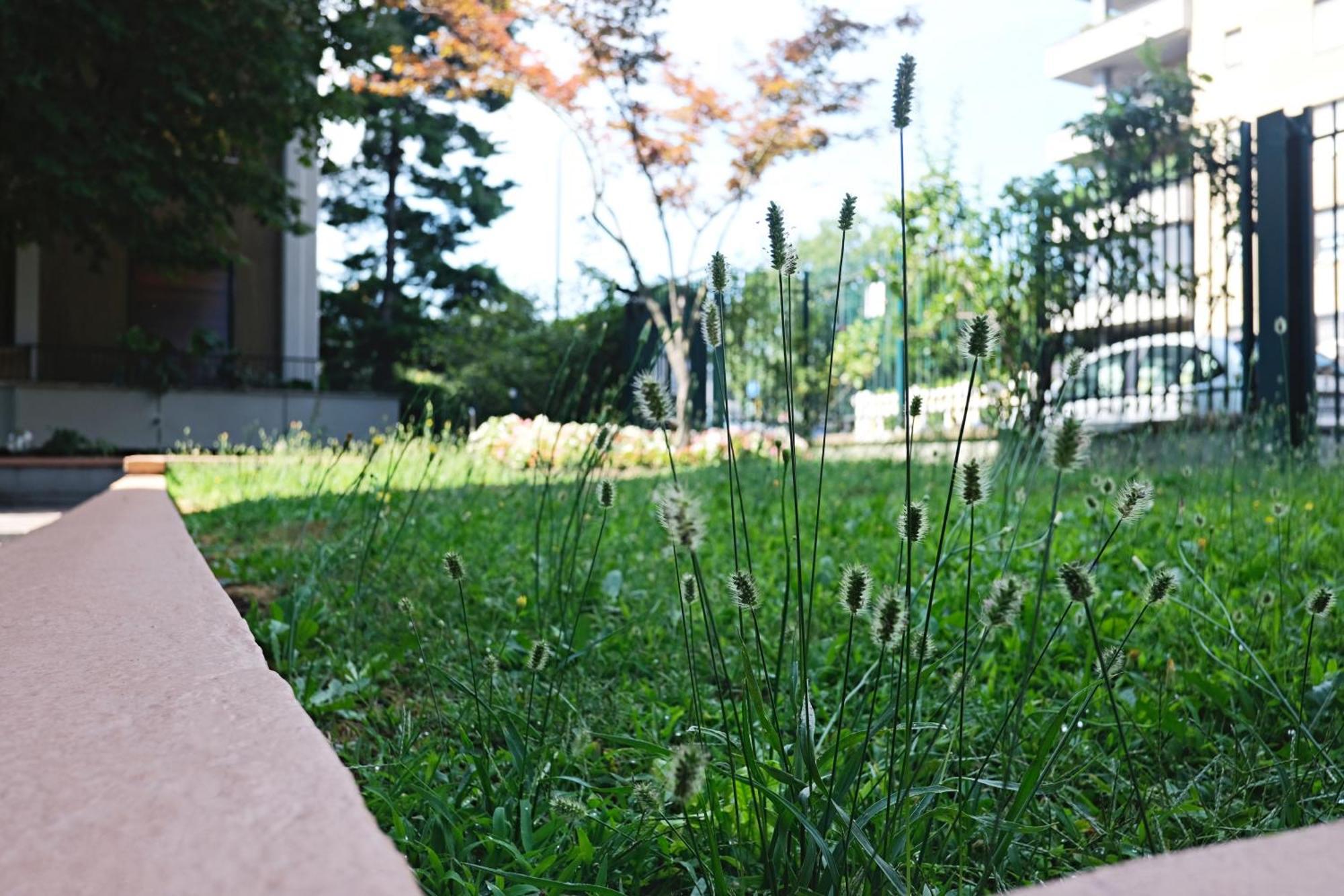 Bwr - Elegant Loft With Terrace, San Siro * Milaan