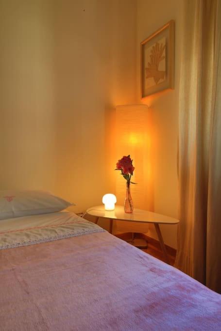 Romantico Attico Con Terrazzo In Centro Appartamento