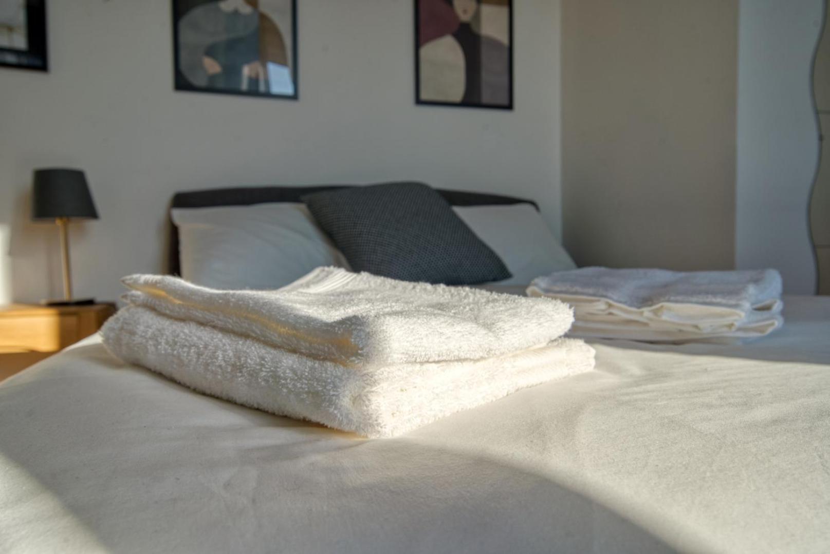 Spacious Penthouse With Panoramic Terrace - 20 Minutes From Duomo Appartamento *