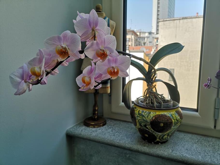 Apartment Cozy With Garden Terrace *