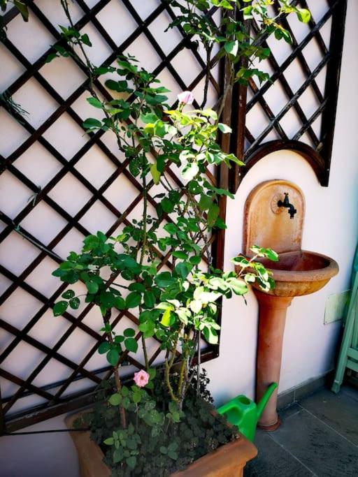 Cozy With Garden Terrace Appartamento