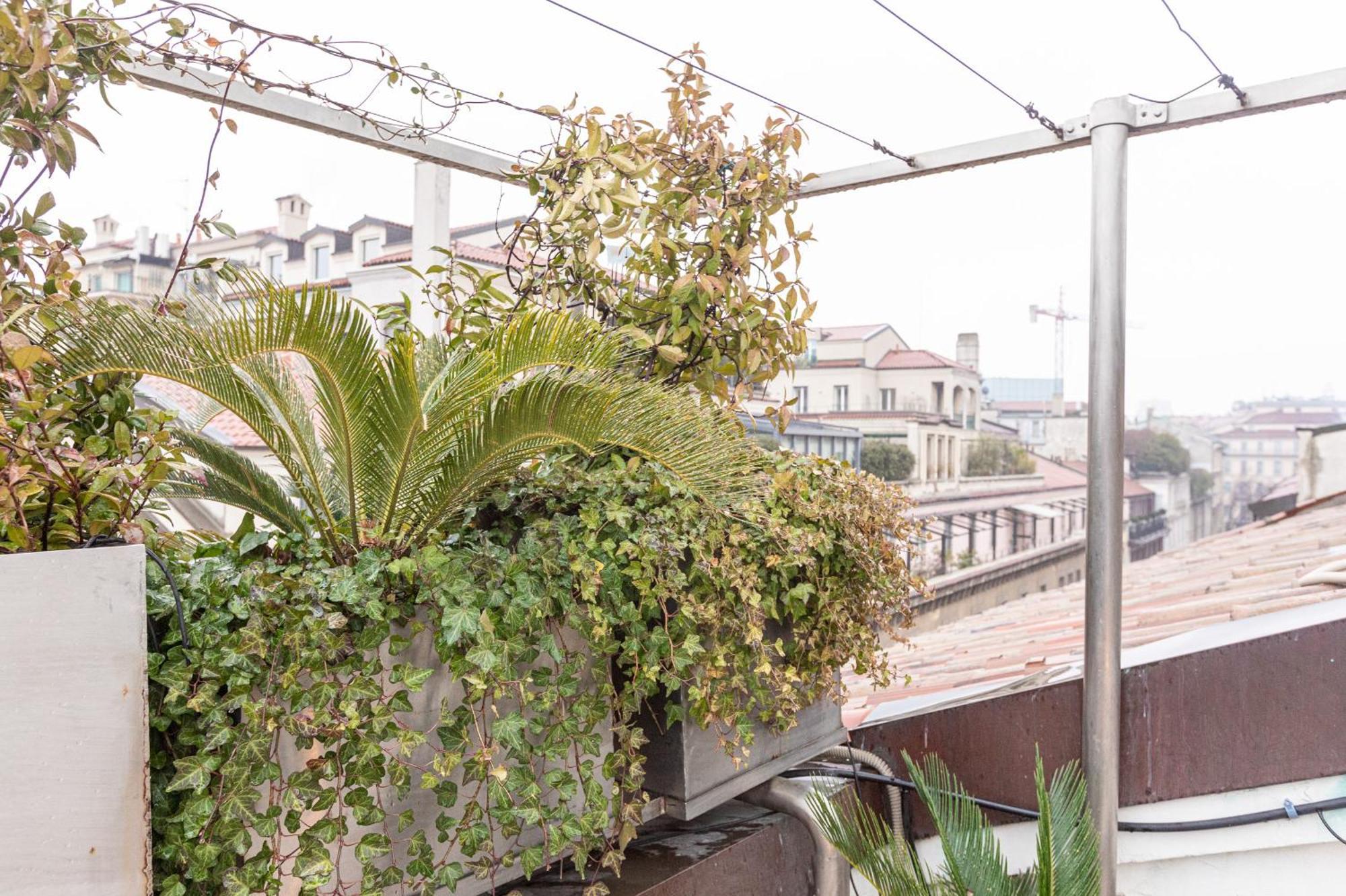 Monte Napoleone Split-level Terrace - Collection Lejlighed *
