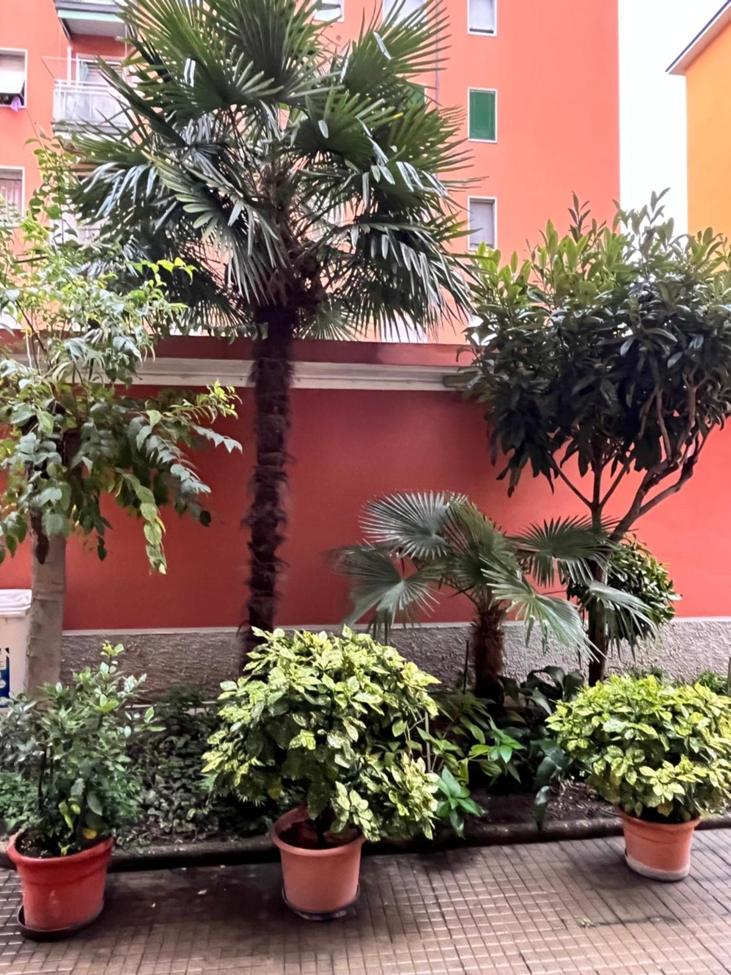 Myhome Forze Armate Kind Milano