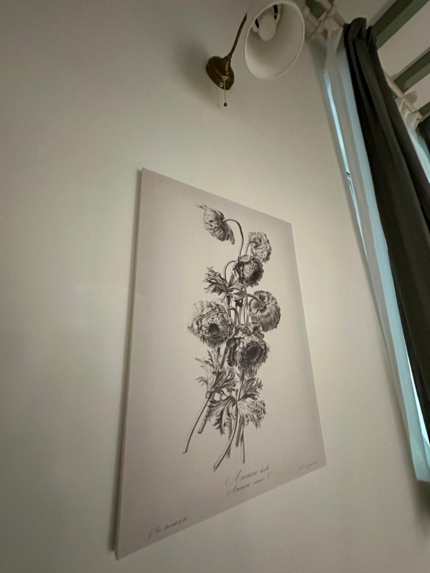 Flowers, A Cozy In Apartment