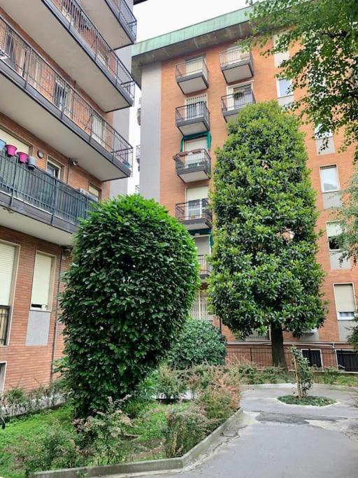 Apartment Vico *