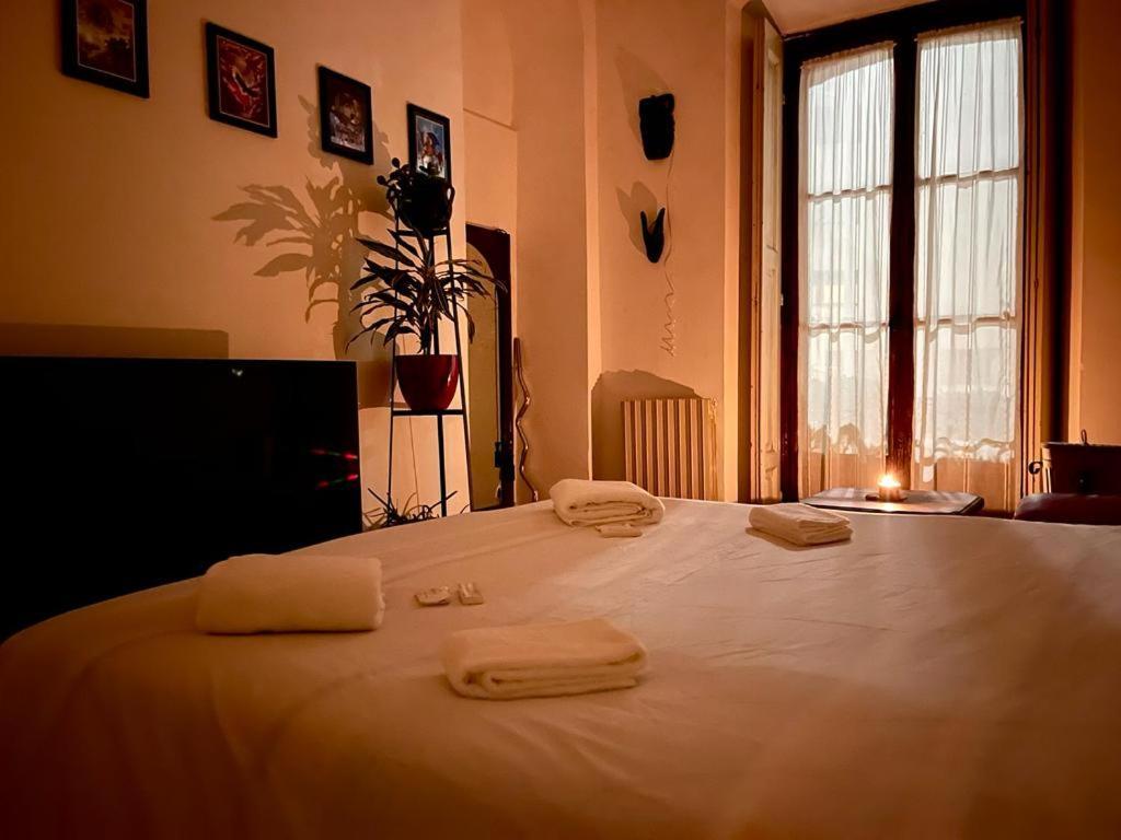 La Stanza Della Giungla Accommodatie bij particulieren Milaan
