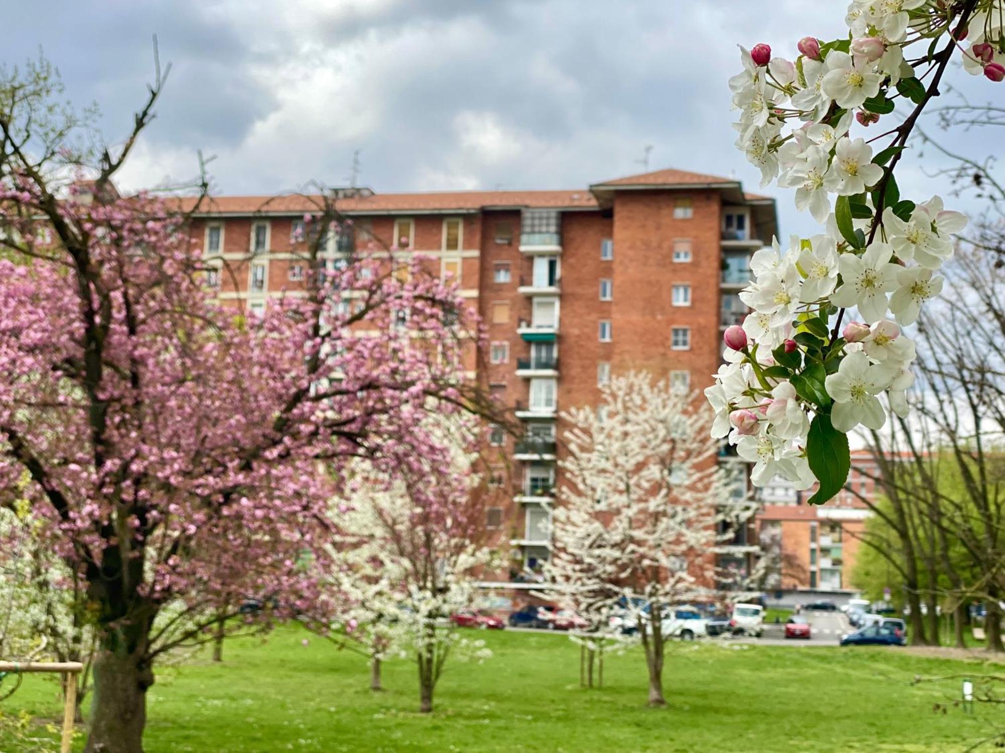 Lejlighed Cosy And Lovely Flat With View On Nature *