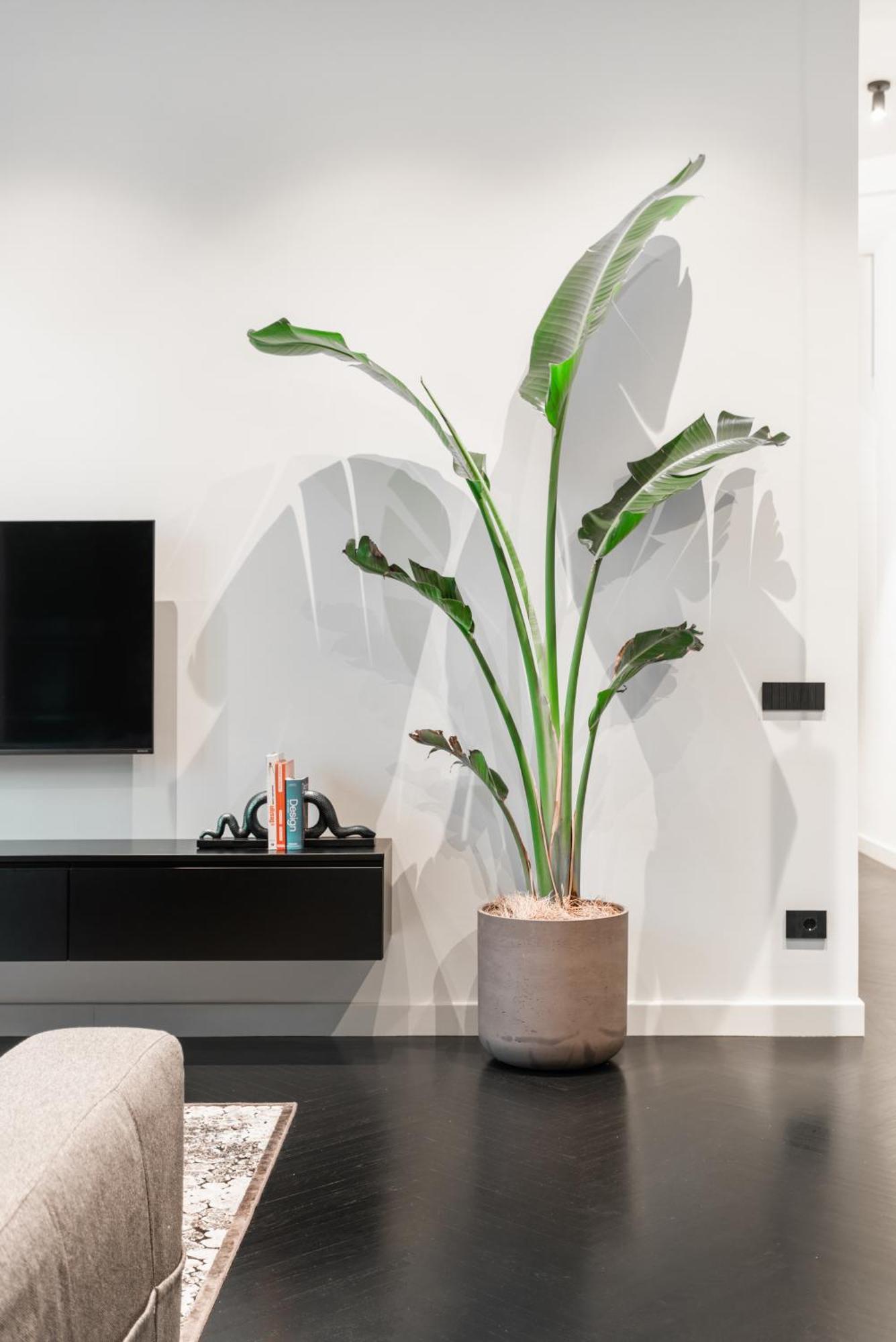 Apartment Minimal Pv *